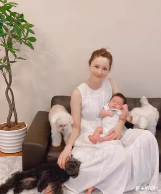 未婚生倆娃!藤井莉娜首曬二胎正臉,生父成謎,曾跟汪東城傳緋聞
