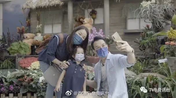 高海寧寫日記疑默認離巢:沒有樹不想長大