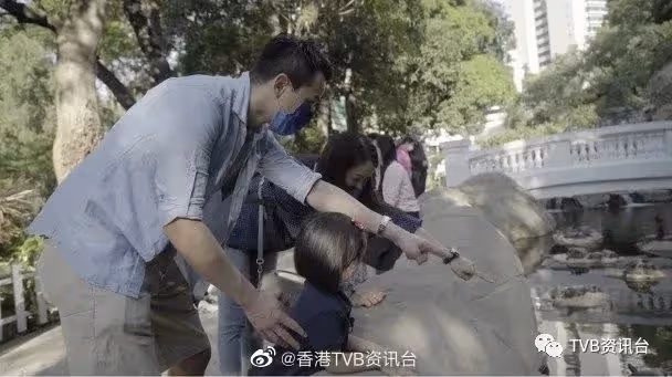 高海寧寫日記疑默認離巢:沒有樹不想長大