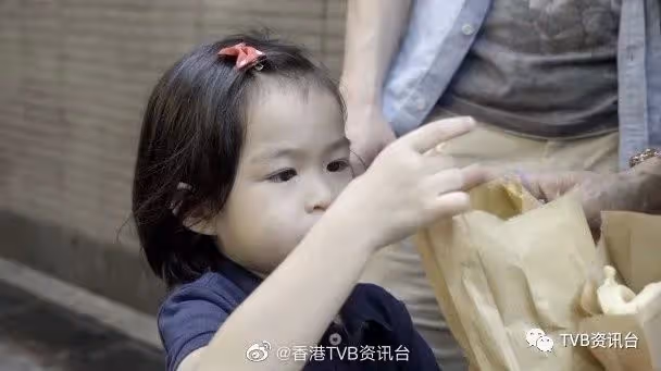 高海寧寫日記疑默認離巢:沒有樹不想長大