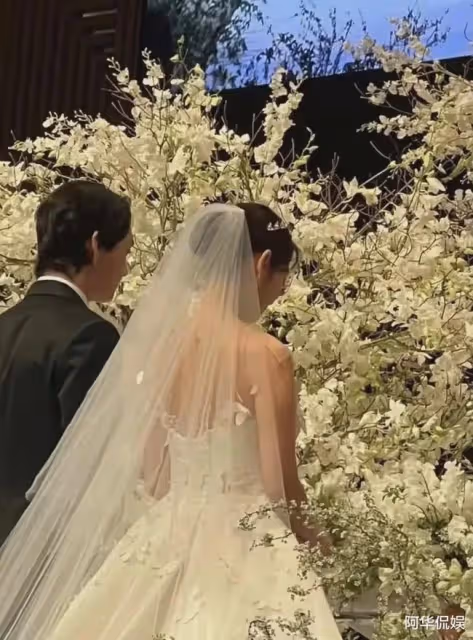 頂流女星奉子成婚,前男友們排隊道賀