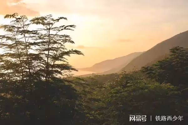 我該怎麼做才能讓老婆明白，做家務是她義務不是我媽的，不想離婚