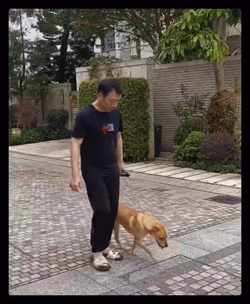 57歲老戲骨回港隔離,香港別墅內景曝光似桃源,此前已在中山買房
