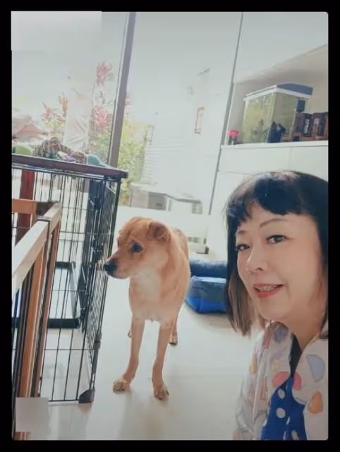 57歲老戲骨回港隔離,香港別墅內景曝光似桃源,此前已在中山買房