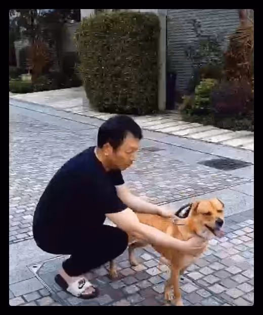 57歲老戲骨回港隔離,香港別墅內景曝光似桃源,此前已在中山買房