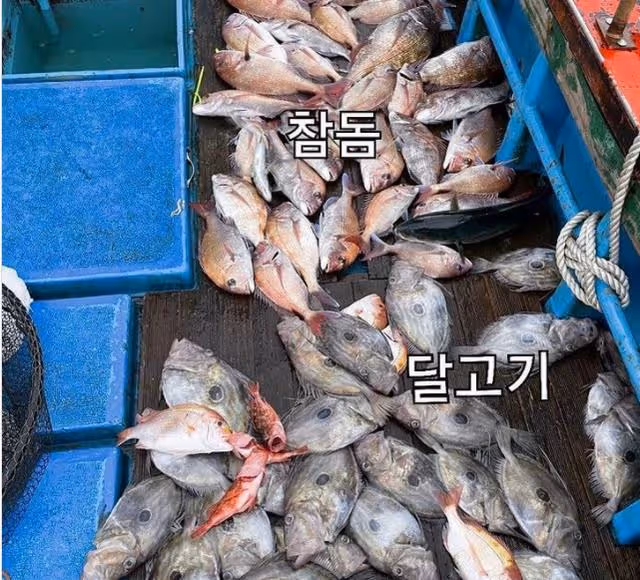 孔劉合體李棟旭海釣,2人並肩燦笑好帥氣!死鬼CP售後服務狂撒糖