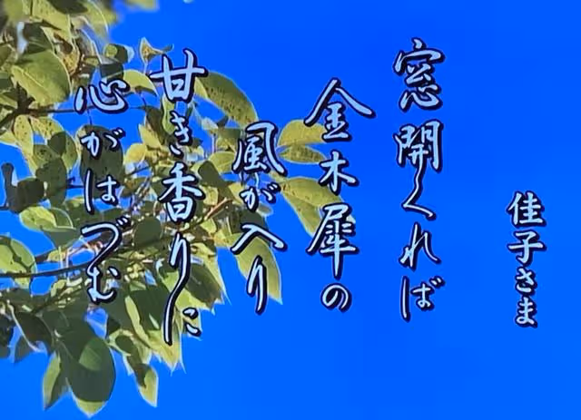佳子公主新年歌會唱出心聲「我也要為愛而活」坦言羨慕姐姐的自由