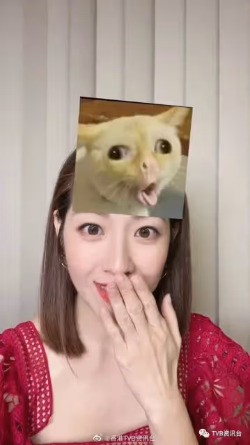 高海寧曬貼身超高衩裙!陳自瑤表現興奮反曬白眼