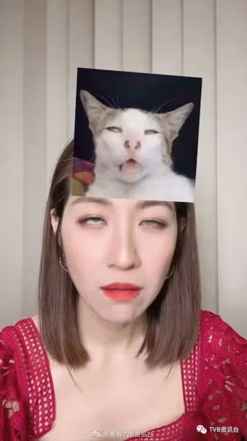 高海寧曬貼身超高衩裙!陳自瑤表現興奮反曬白眼