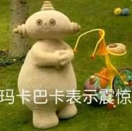 南洋雙胞胎姐妹和光頭導演的終極瓜!