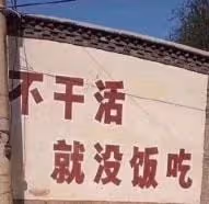 南洋雙胞胎姐妹和光頭導演的終極瓜!