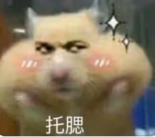 南洋雙胞胎姐妹和光頭導演的終極瓜！