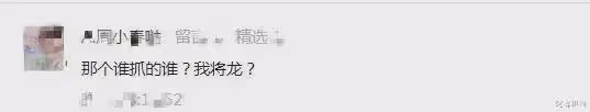 蔣龍這張臉,能不能逐夢演藝圈?