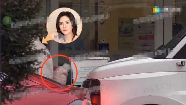 謝娜帶雙胞胎女兒看病!開百萬豪車現身高檔醫院,車內喂糖太溫馨