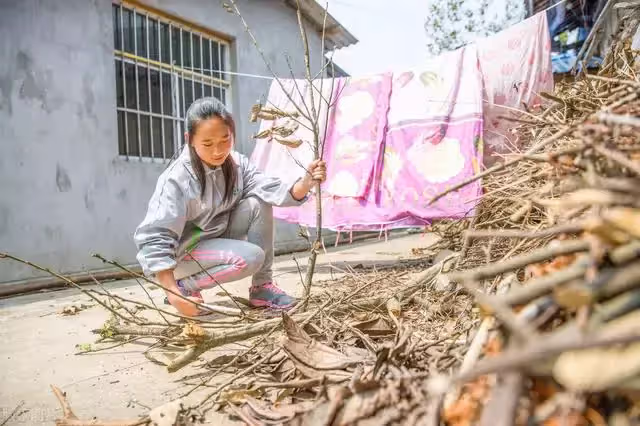 婆婆重男輕女,催生二胎兒子,我一招就制服了惡婆婆