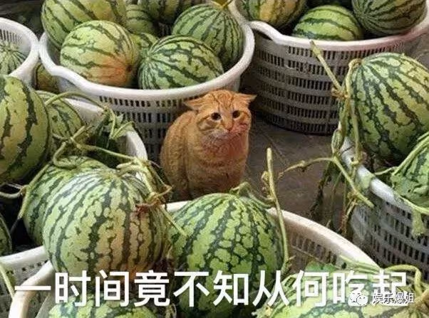 【2022.1.28】爆姐的飯後爆料:生命不止,爆料不息!