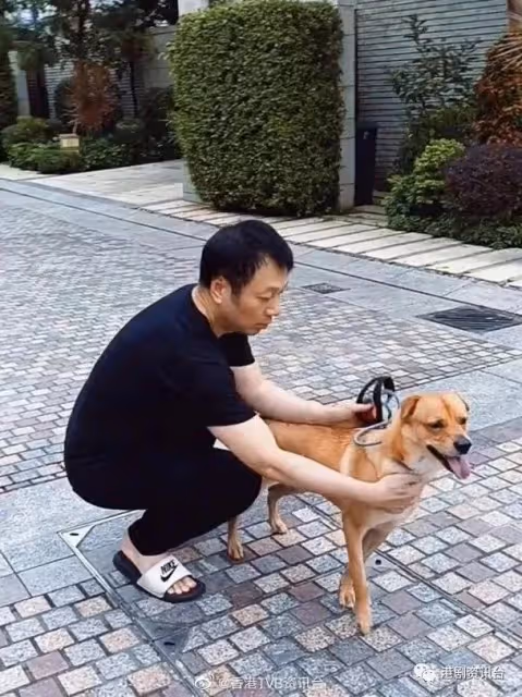 王浩信畫畫解悶 揭被視帝耽誤的畫家