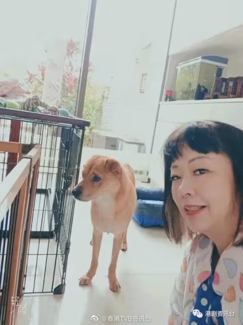 王浩信畫畫解悶 揭被視帝耽誤的畫家