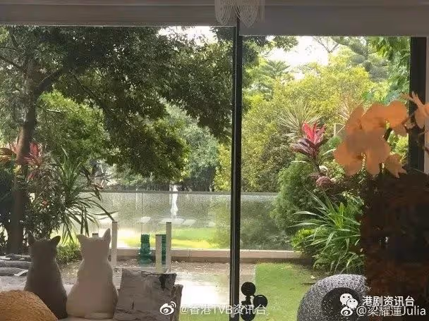 王浩信畫畫解悶 揭被視帝耽誤的畫家