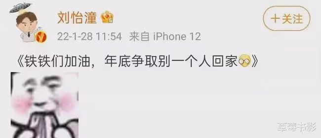 兒子塌房卻無人關心?