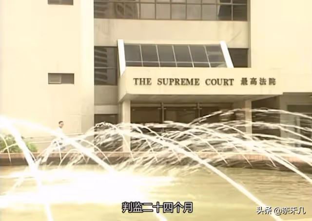 女明星拉皮條，從當紅小花到賣貨小妹：《掃黃先鋒》真敢拍