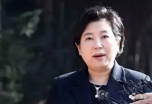 老公自殺後,被婆家逼上絕路,48歲全職太太如何翻成大女主?