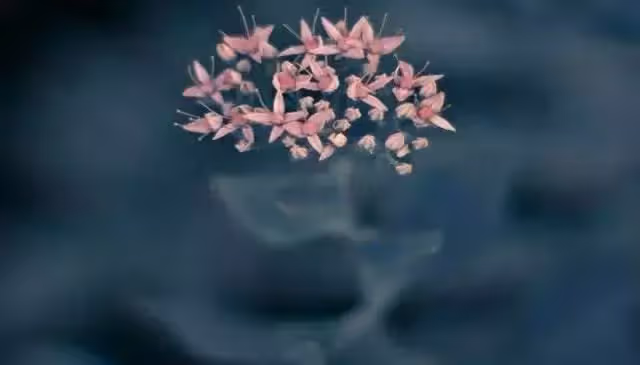 父母:「幫幫你弟弟吧」,兒子:不可能,女兒只能是我的
