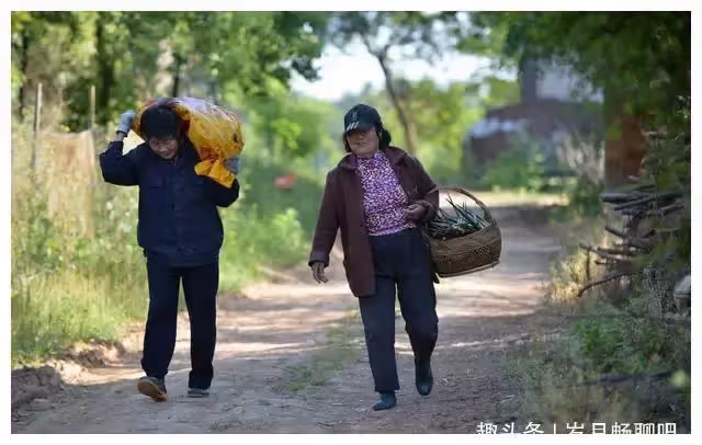 整整七年,媳婦都不能原諒我父母,我真想替他們向媳婦叩頭贖罪