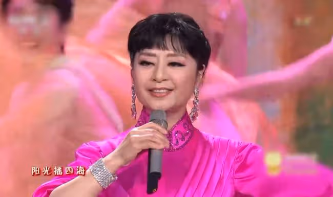 撒貝寧46,孫濤54,李思思36,上春晚的他們都容顏不老