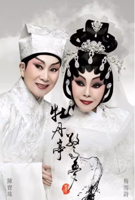 昔日影壇七公主！74歲寶珠姐罕見亮相大惹關注，一頭銀髮精神爽利