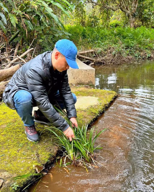 胡杏兒一家回農村過年,不嫌棄簡陋環境,老公包攬農活長子挑扁擔