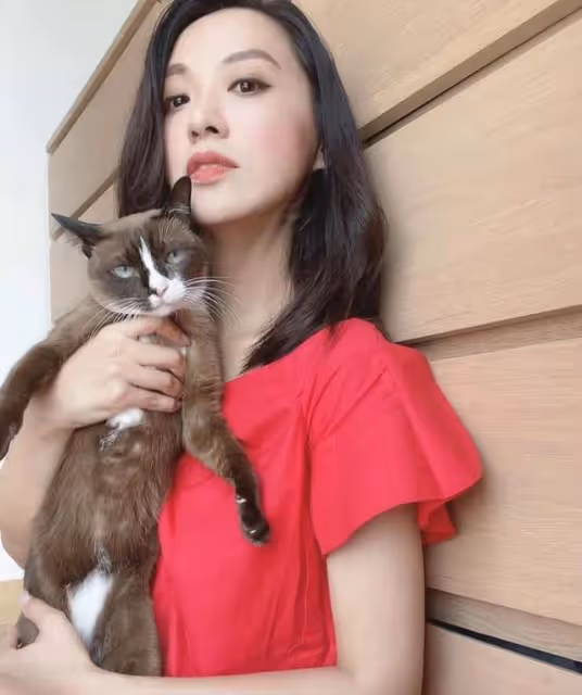 衝擊視後!TVB當家花旦聯同視帝拍大製作重頭劇,新劇陣容超豪華