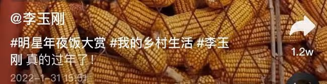 李玉剛回老家過年,頭髮凌亂打扮接地氣,電線桿下放煙花被批危險