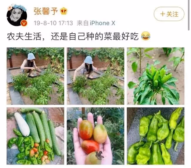 張馨予一招改變招黑體質，她到底做對了什麼