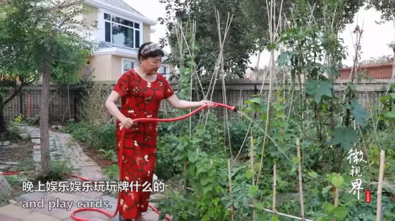 安心又自在!15個70歲老人租房「同居養老」養花種菜不帶娃 年輕人「羨慕」:理想中的老年生活