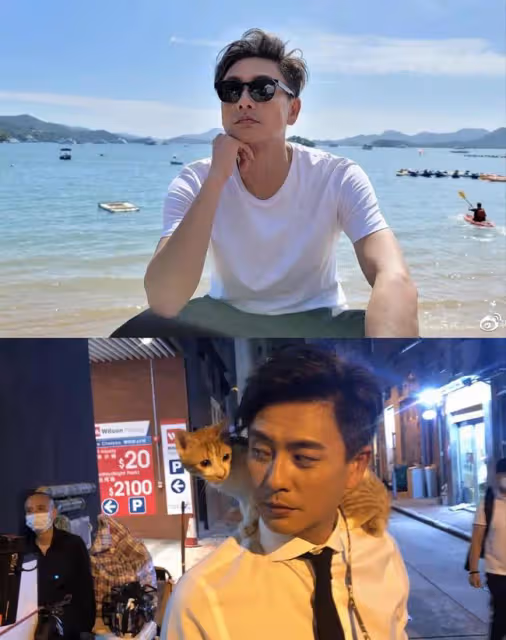 TVB新年演唱會直播,這些港男港女為什麼永遠不老?