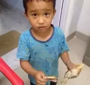 騎車「不小心壓到小雞」!6歲弟「掏畢生積蓄」急奔醫院:拜託救救牠QQ