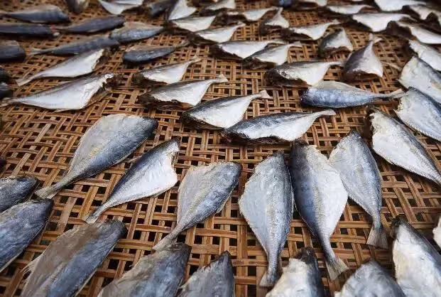 女婿三番兩次上門借錢，岳父「曬鹹魚」諷刺他翻不了身！多年後眼看就要成功，嶽父卻說...