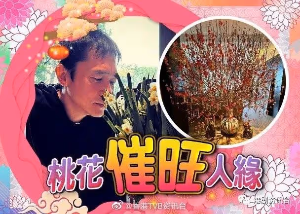 視後佘詩曼有獨門催運大法!遇好劇本會拍港劇