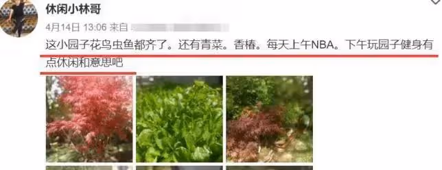 楊冪現實中的家,豪宅騰地給爸爸種菜,不僅人長得美還很孝順