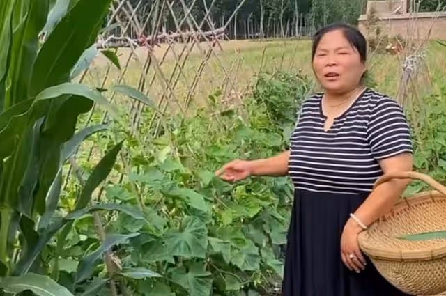 農村會姐:做4年主播,全款在縣城買了3套房,到底憑什麼吸金的
