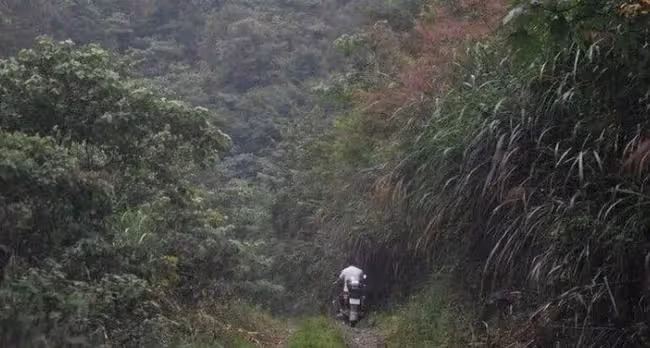 我是眼睛有殘疾,被一個黃頭髮女人綁到深山,還給我2萬塊錢