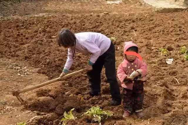 高高興興帶了禮物和老公回娘家拜年,結果在吃飯的時候我掀了桌子