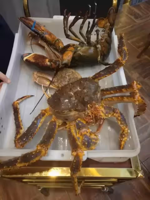 高高興興帶了禮物和老公回娘家拜年,結果在吃飯的時候我掀了桌子