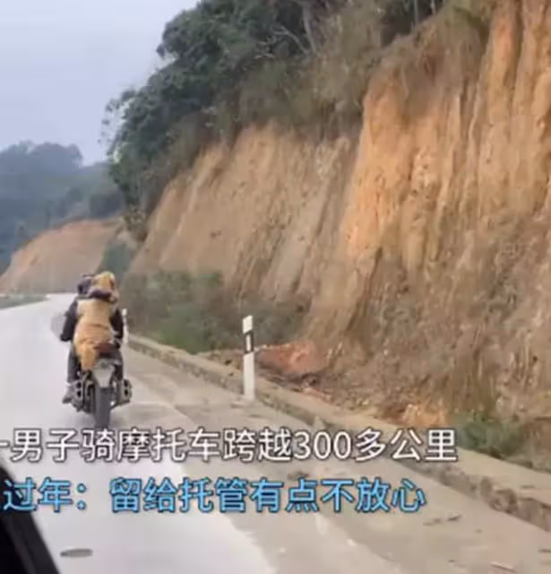 男子騎摩托跨越300多公里，帶金毛回家過年：留給託管有些不放心