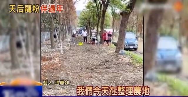張惠妹春節陪家人干農活,徒手搬石頭手套都磨破,打扮樸素似工人