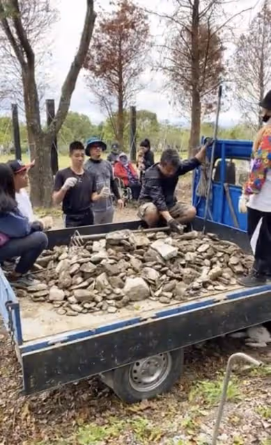 張惠妹春節陪家人干農活,徒手搬石頭手套都磨破,打扮樸素似工人