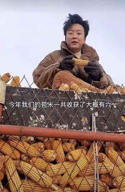 張惠妹春節陪家人干農活,徒手搬石頭手套都磨破,打扮樸素似工人