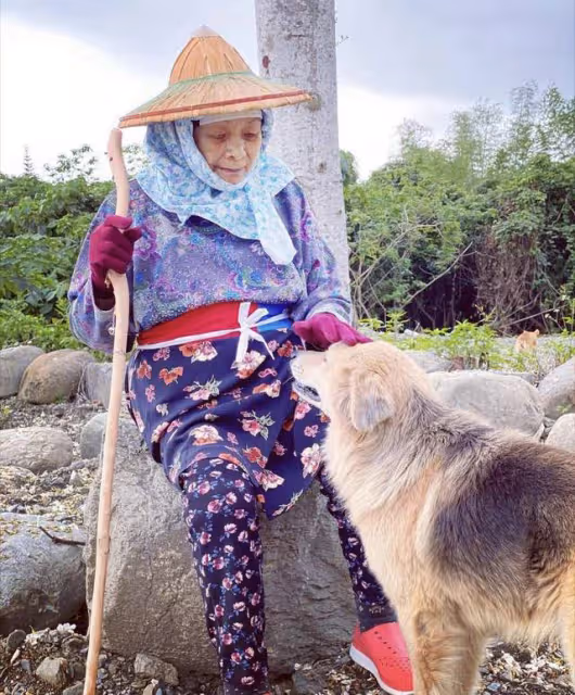 張惠妹春節陪家人干農活,徒手搬石頭手套都磨破,打扮樸素似工人