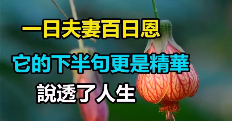 俗語：「一日夫妻百日恩」 其實下半句才是精華 卻鮮有人知